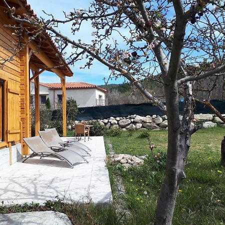 Villa Chalet Mont Canigo Corneilla-de-Conflent Exterior foto